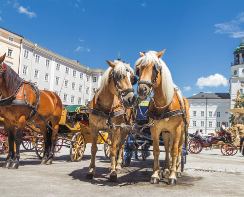 Kutschfahrt - Wellness-Hotel mit Whirlpoo bei Salzburg